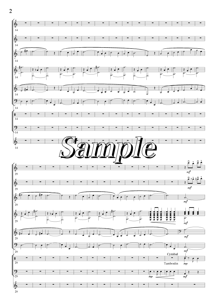 Sample Score